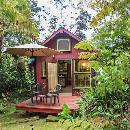 Ferny Hollow: Romantic Rainforest Cottage Volcano Ngoại thất bức ảnh