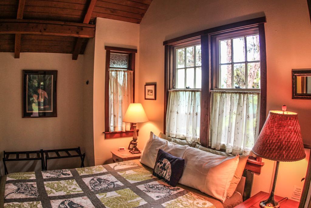 Ferny Hollow: Romantic Rainforest Cottage Volcano Ngoại thất bức ảnh
