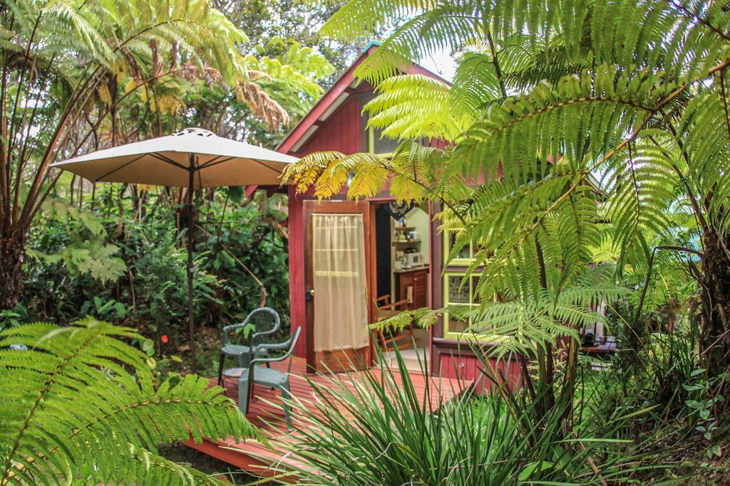 Ferny Hollow: Romantic Rainforest Cottage Volcano Ngoại thất bức ảnh