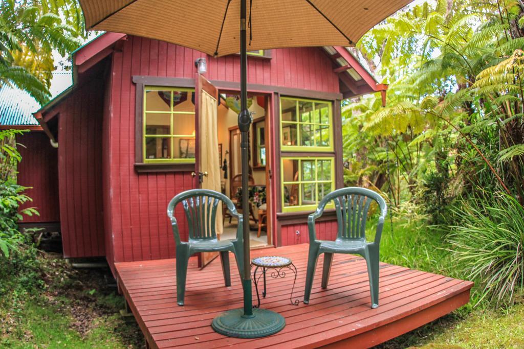 Ferny Hollow: Romantic Rainforest Cottage Volcano Ngoại thất bức ảnh