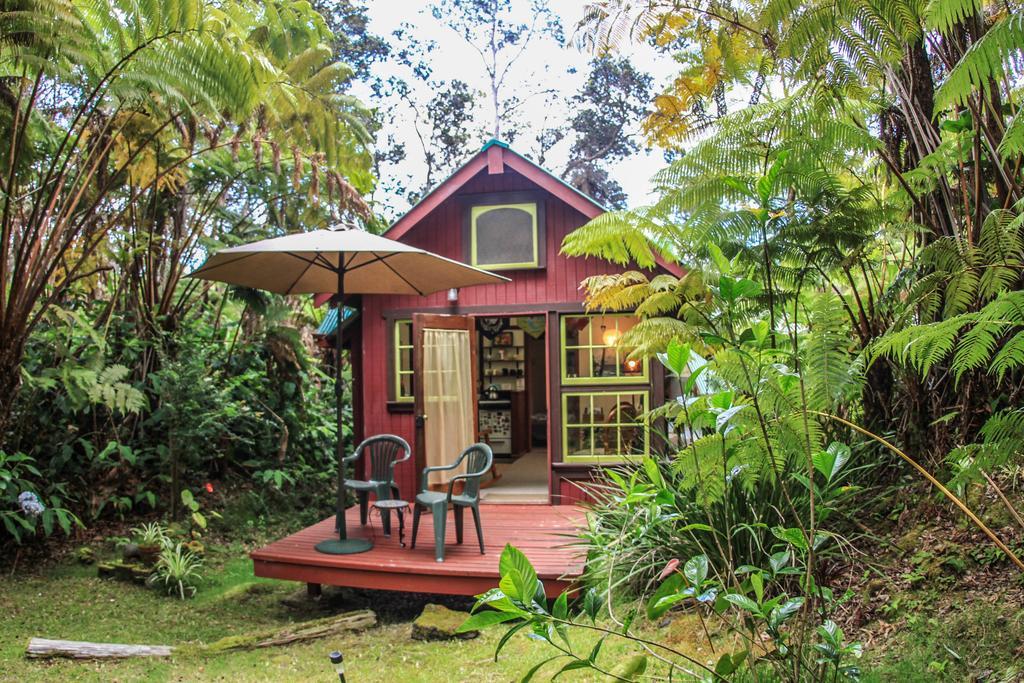 Ferny Hollow: Romantic Rainforest Cottage Volcano Ngoại thất bức ảnh