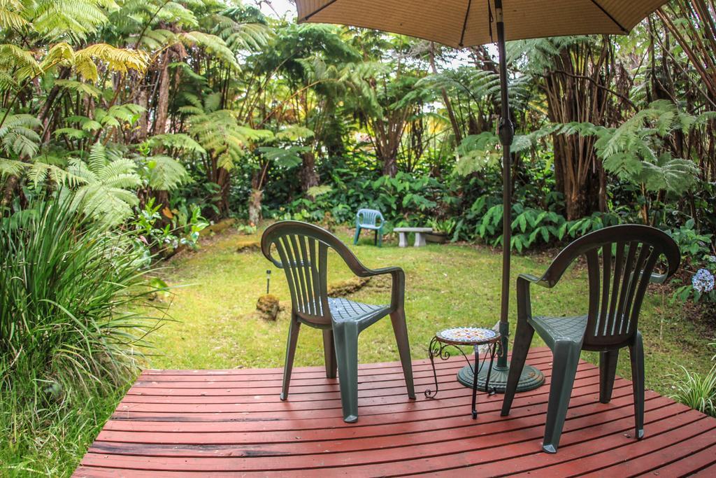 Ferny Hollow: Romantic Rainforest Cottage Volcano Ngoại thất bức ảnh