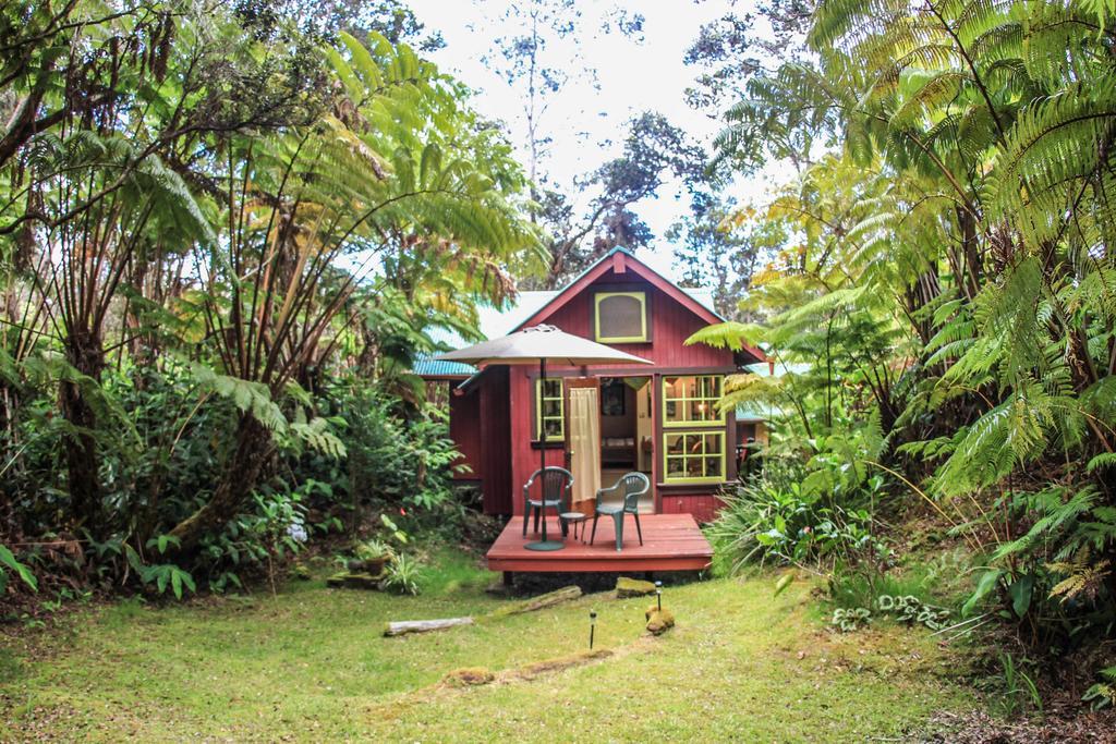 Ferny Hollow: Romantic Rainforest Cottage Volcano Ngoại thất bức ảnh
