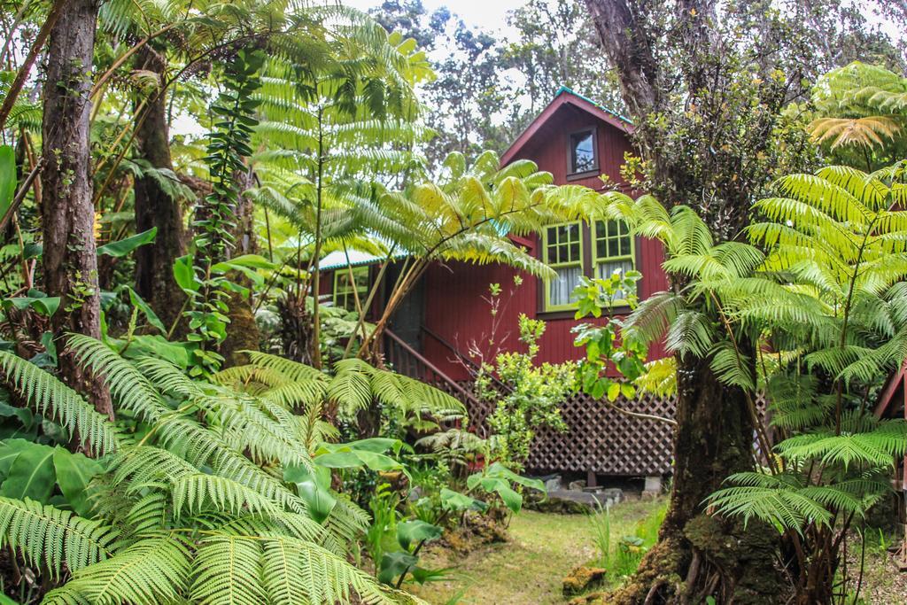 Ferny Hollow: Romantic Rainforest Cottage Volcano Ngoại thất bức ảnh
